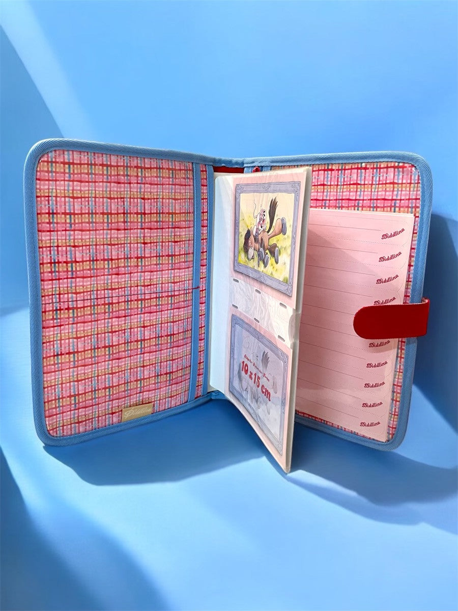 Diddlina Friendsforever Fotoalbum (leicht ausgebleicht)