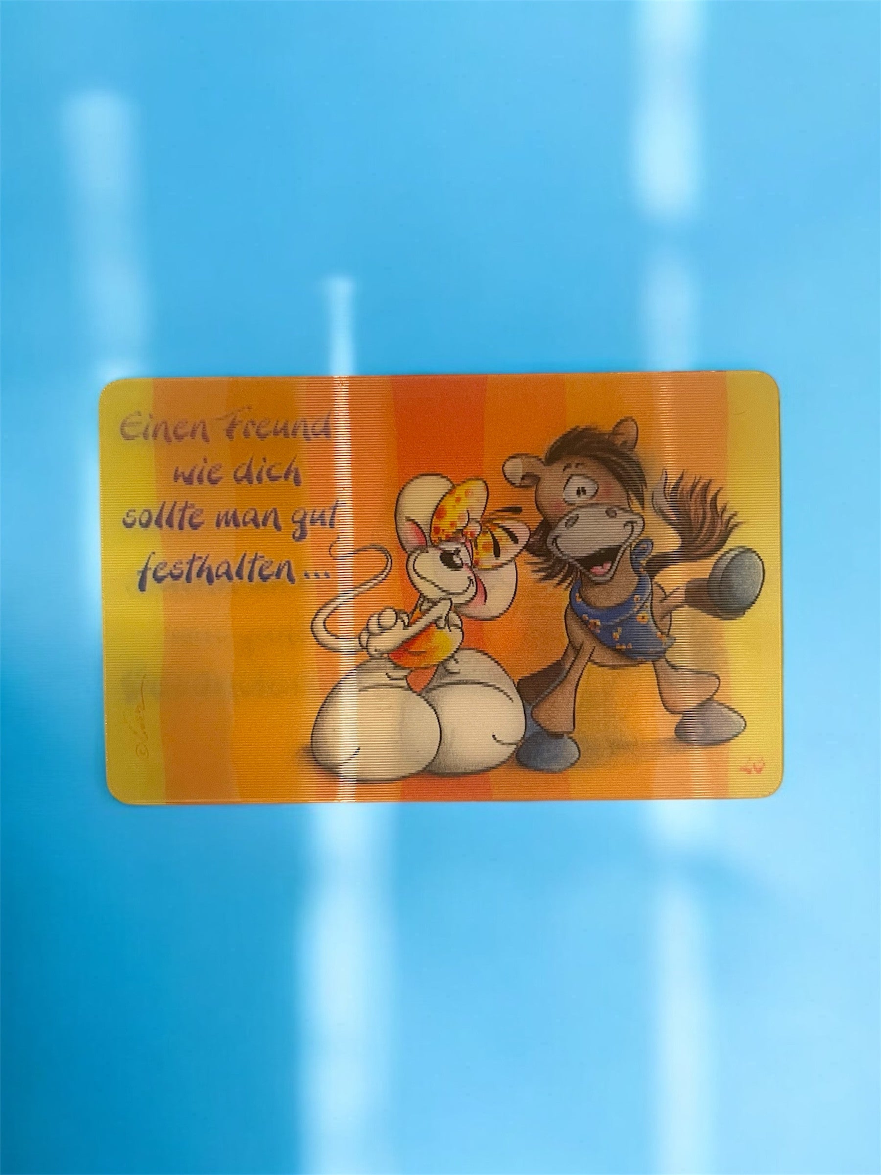 Diddl Register Wackel Funcards Serie 1 Nr. 23