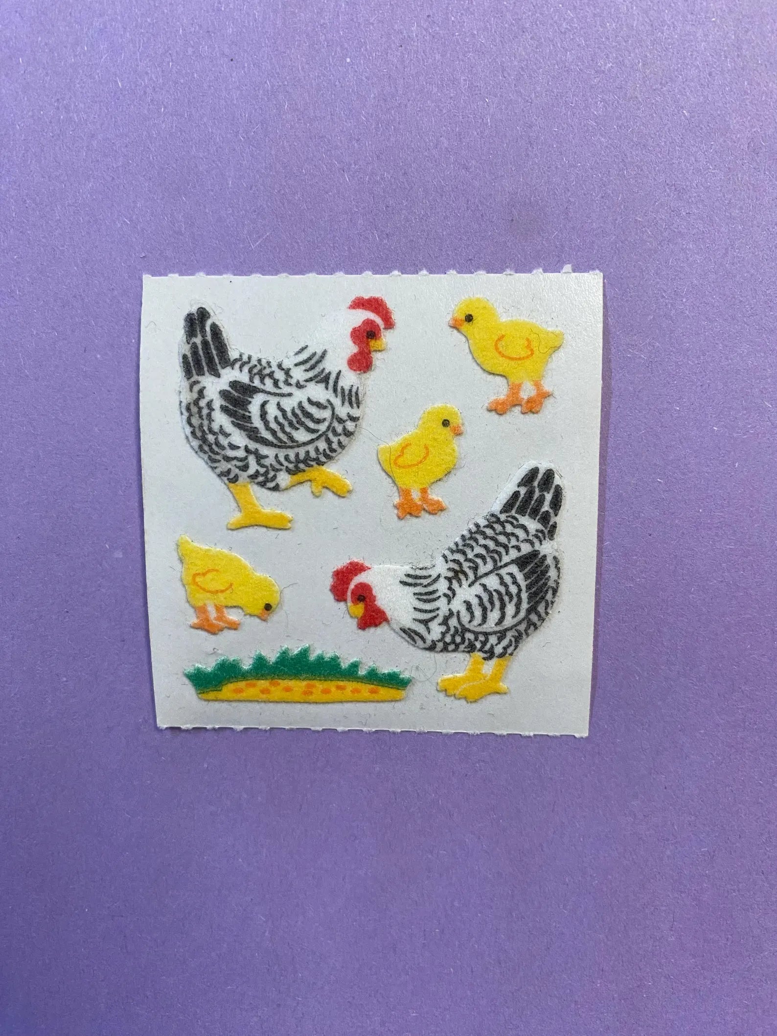 Sandylion Chickens / Fuzzy Square Chickens