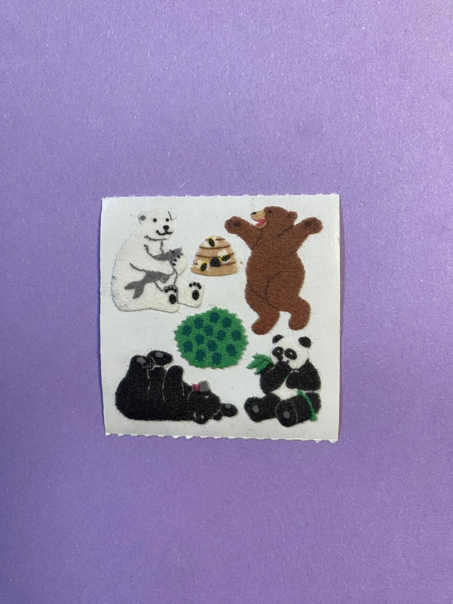 Bear Fuzzy Square